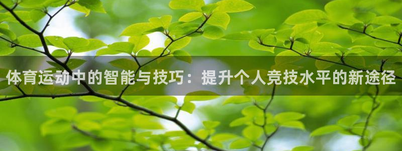 MK体育官网下载招商电话号码查询：体育运动中的智能与