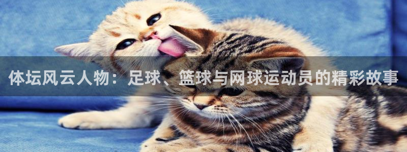 MK体育官网下载招商电话号码是多少号：体坛风云人物：
