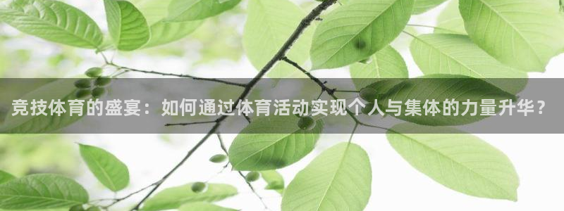 MK体育官方正版app集团简介：竞技体育的盛宴：如何