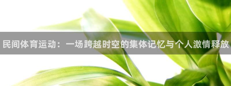 MK体育官网下载是干嘛的公司