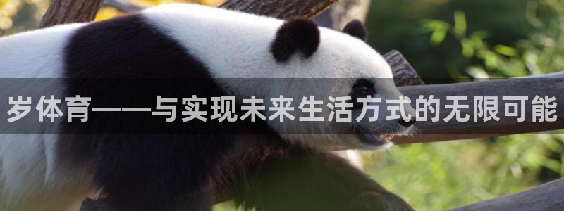 MK体育官方正版app官方