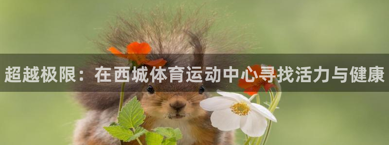 MK体育官网下载平台是正规平台吗：超越极限：在西城体