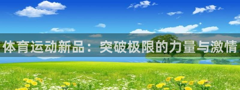 MK体育官方正版app科技