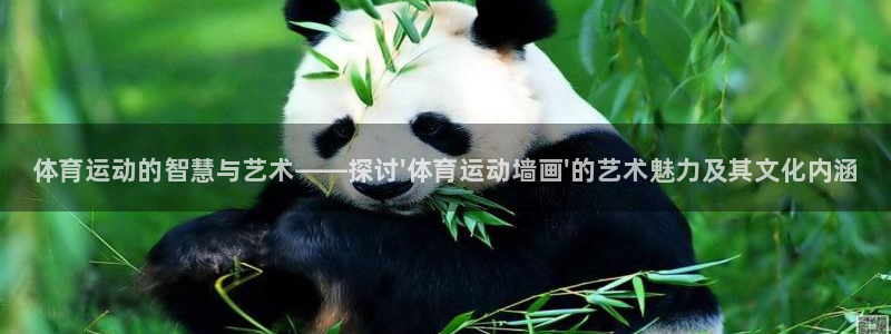 海南MK体育官网下载发展怎么样：体育运动的智慧与艺术