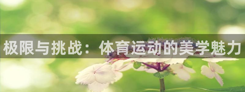 海南MK体育官网下载发展怎么样：极限与挑战：体育运动