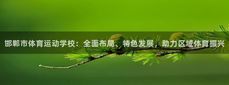 MK体育官方正版app娱乐首页网站大全：邯郸市体育运