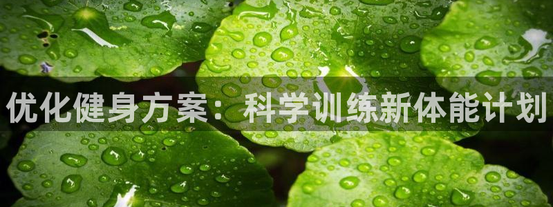 MK体育官方正版app官方：优化健身方案：科学训练新