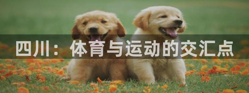 MK体育官网下载平台：四川：体育与运动的交汇点