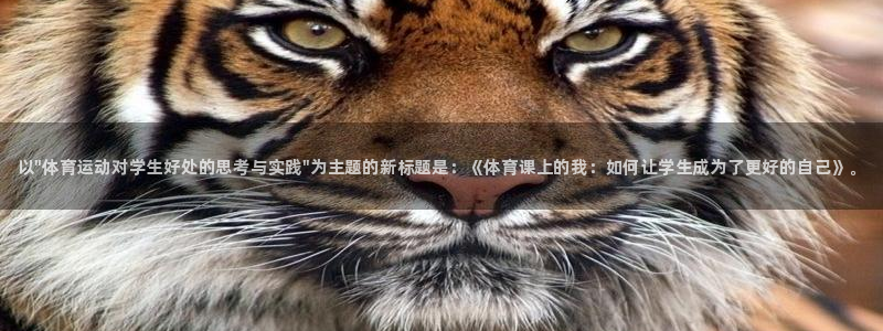 MK体育官网下载平台注册流程视频：以\