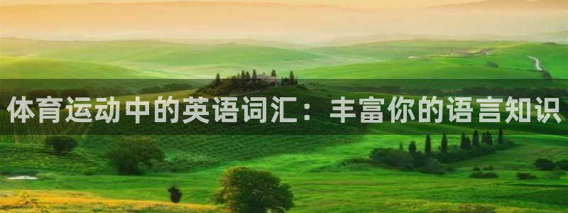 MK体育官网下载平台是正规平台吗：体育运动中的英语词汇：丰富