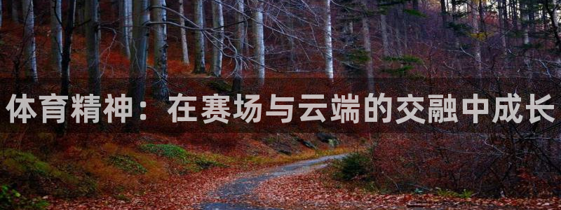 MK体育官方正版app娱乐代理怎么样