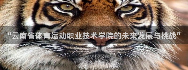 MK体育官网下载平台注册流程图：“云南省体育运动职业技术学院