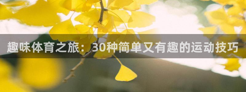 MK体育官网下载平台假的吗是真的吗：趣味体育之旅：30种简单