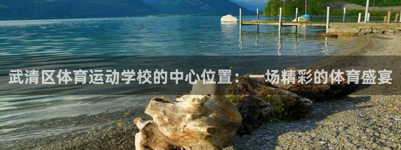 MK体育官网下载平台注册流程图：武清区体育运动学校的