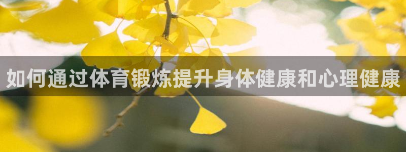 MK体育官方正版app科技