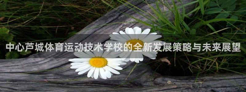 MK体育官网下载招商电话是多少：中心芦城体育运动技术学校的全