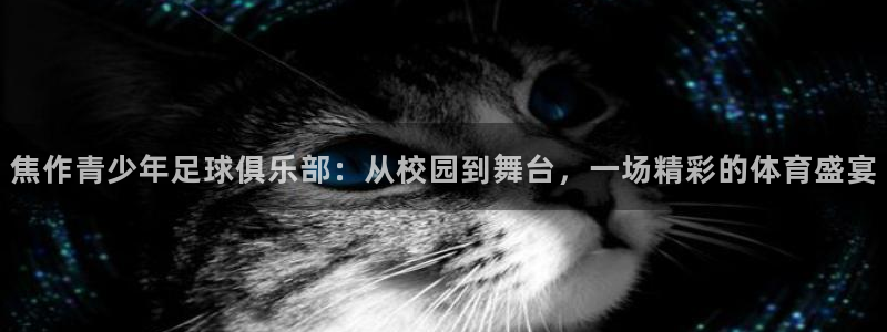 MK体育官网下载开户：焦作青少年足球俱乐部：从校园到