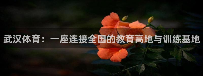 MK体育官方正版app集团logo：武汉体育：一座连