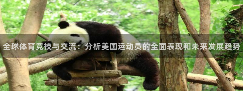 MK体育官网下载平台注册流程视频：全球体育竞技与交流