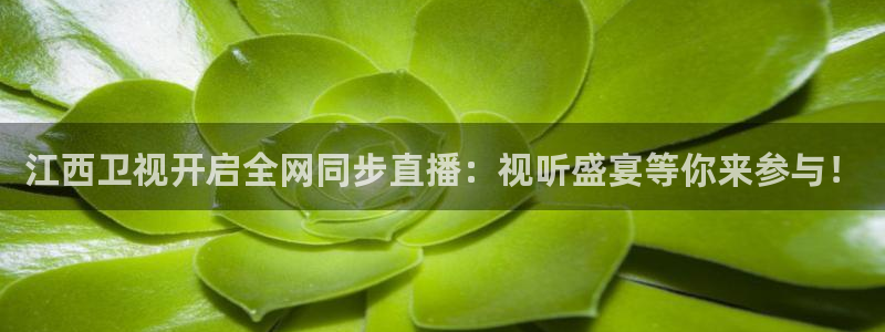 乐球吧在线直播观看：江西卫视开启全网同步直播：视听盛宴等你来参与！