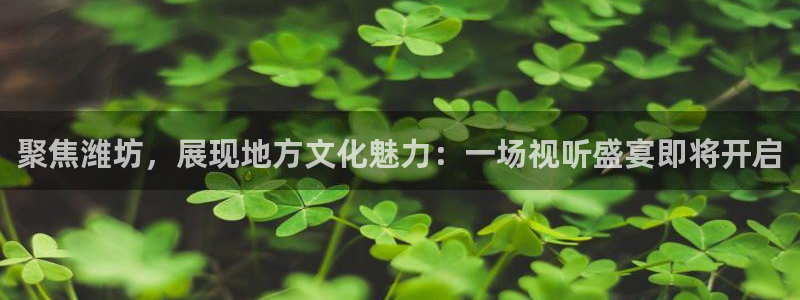 乐球足球直播无插件：聚焦潍坊，展现地方文化魅力：一场视听盛宴即将开启