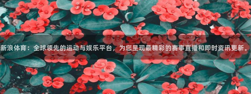 nba在线直播高清乐球：新浪体育：全球领先的运动与娱乐平台，为您呈现最精彩的赛事直播和即时资讯更新。