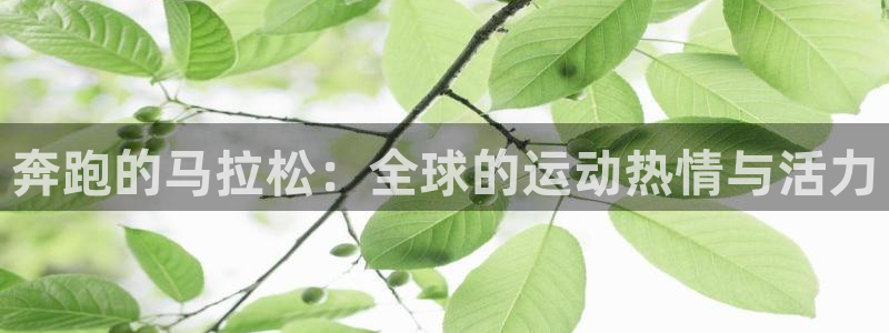 乐球足球直播在线观看高清：奔跑的马拉松：全球的运动热情与活力
